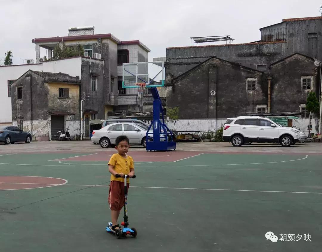 岐阳梧桐起凤环，鹭兮鹭兮寻不见（上）