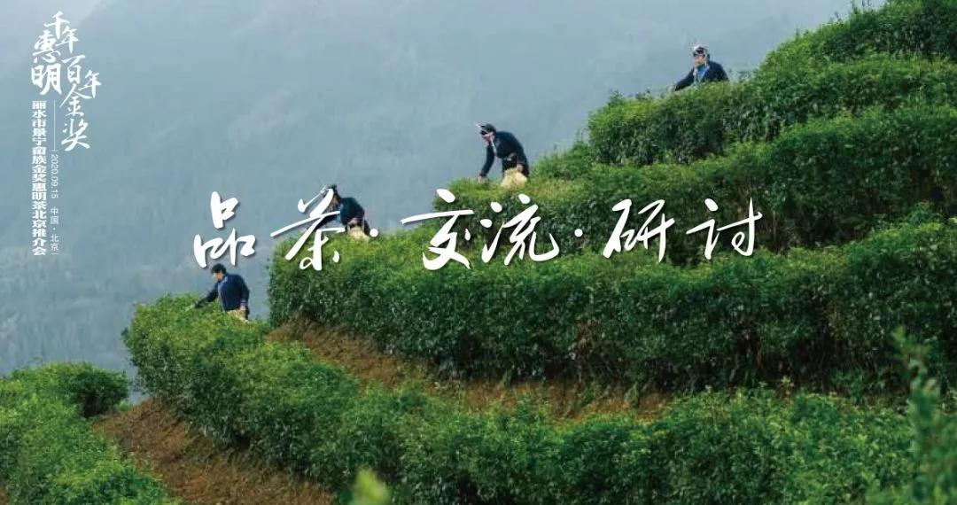 千年金奖是什么奖,千年惠明茶