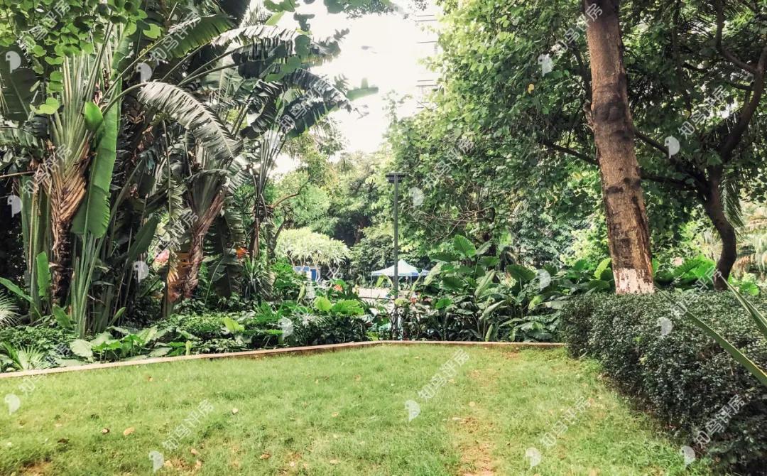 长安霄边中惠新城,东莞长安中惠新城