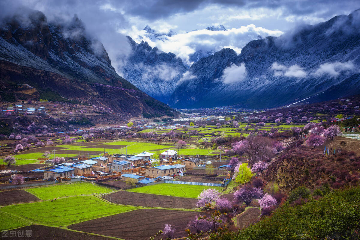 那曲唯一有桃花的地方,那曲有桃花吗