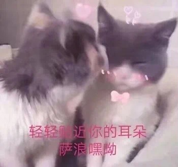 空姐导游变身主播?天猫国际整合出境游资源“重连全世界”