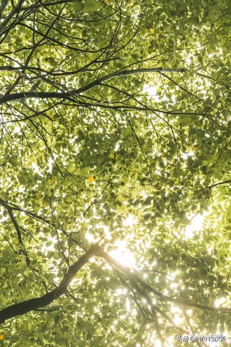 汉口夏天,汉口夏日