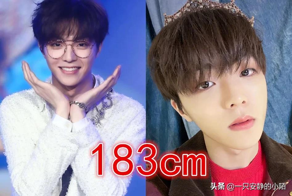 张新成和白敬亭为什么那么像,张新成和白敬亭照片对比