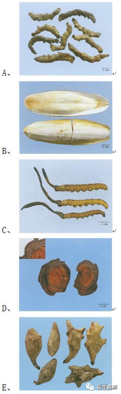 执业药师2021年中药一真题,执业药师中药一考题解析