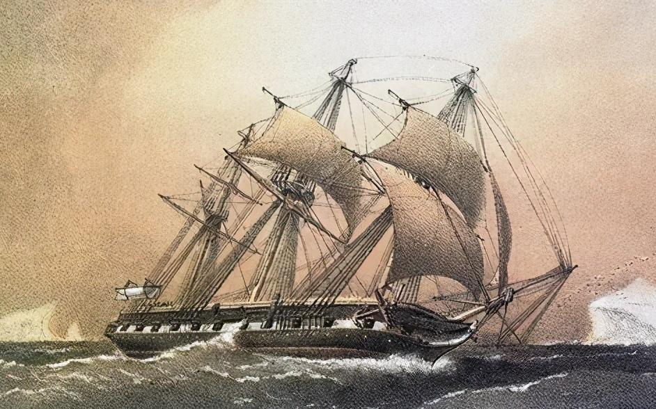 超级恐怖的深海巨鲨,新西兰巨型夜光鲨探秘