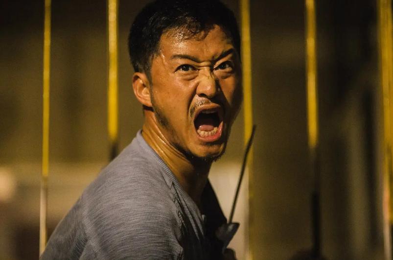 袁和平看好的两个明星,袁和平拿奖