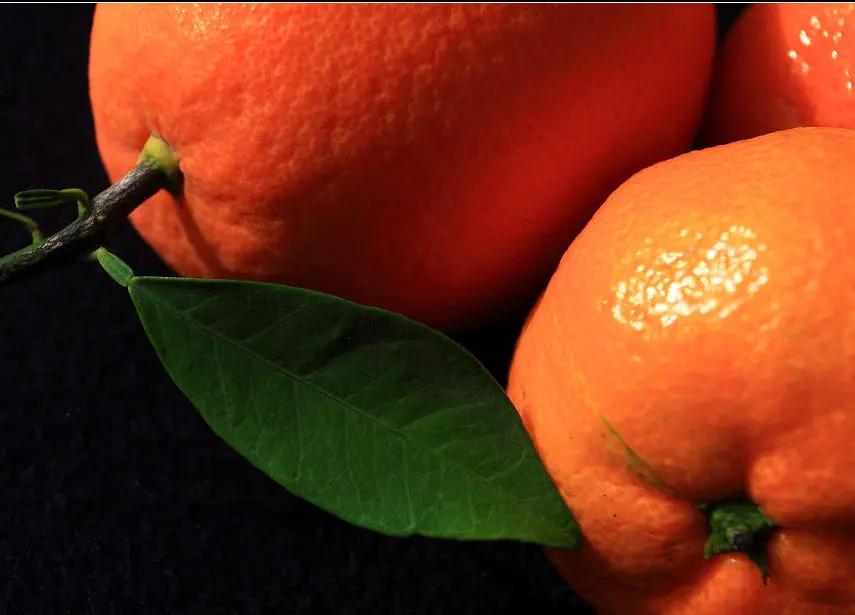 墙布出现橘子皮现象能处理好吗,墙布起橘子皮似的怎么处理