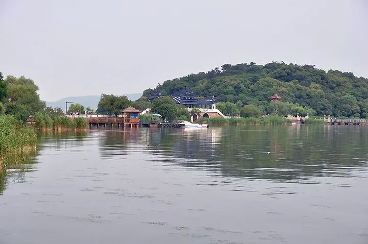 「看盘三千个VOL.41」滨湖区这个楼盘，让我含泪欲下