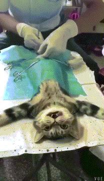 山海经中以乳为目以脐为口的怪物,山海经搞笑图片