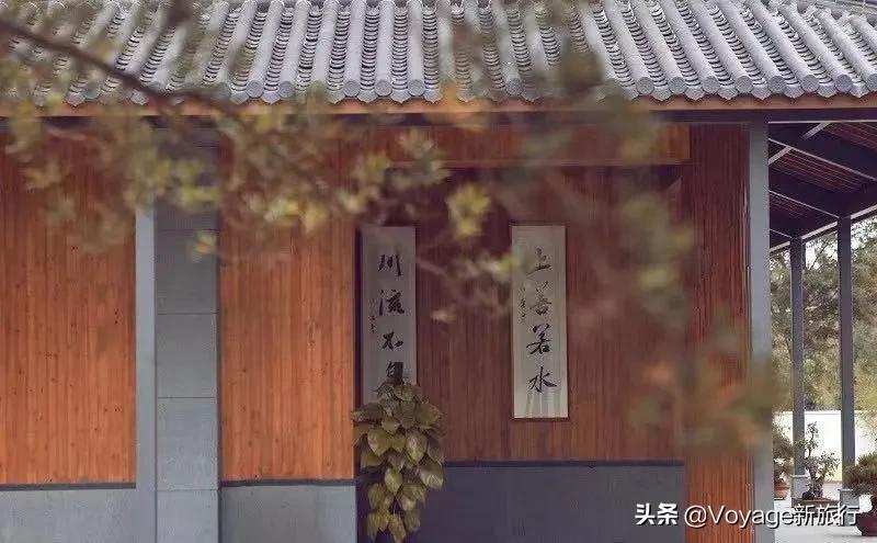 你是我的荣耀齁甜,你是我的荣耀结局甜吗