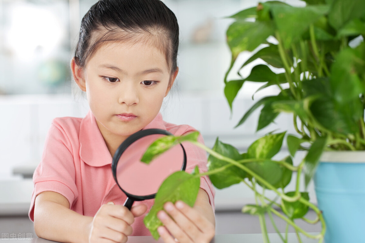 孩子玩游戏上瘾不上学怎么办,孩子玩手机上瘾不上学了怎么办