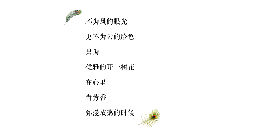 我的传家宝视频大全,我的传家宝我做主