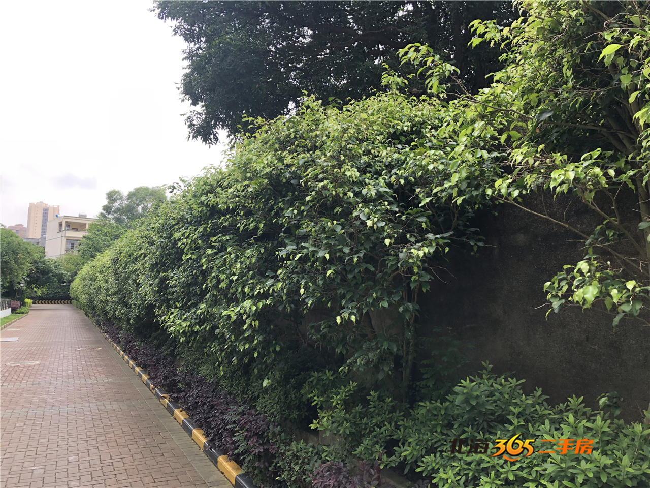 北海白金瀚宫别墅,北海白金瀚宫二期露台