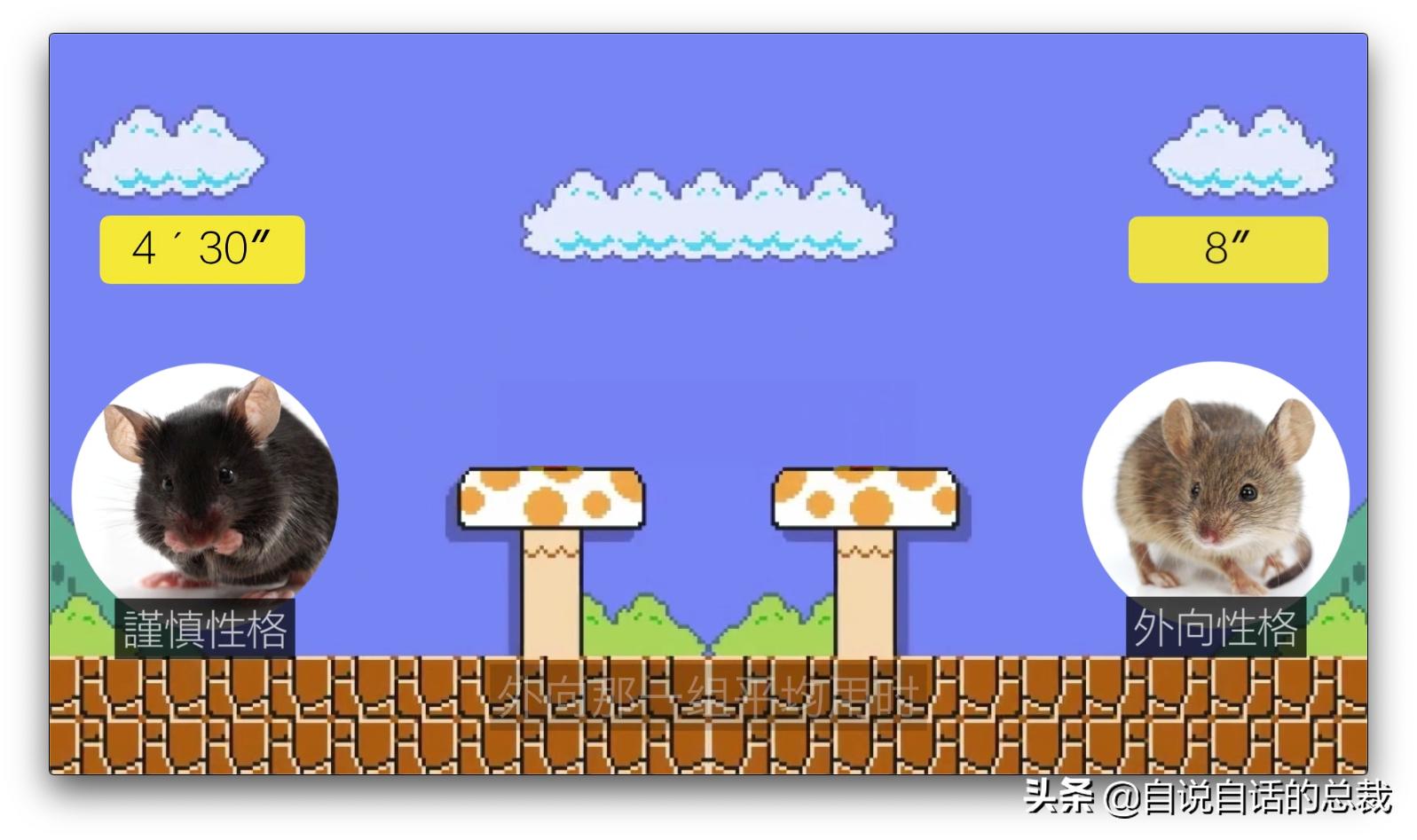 吃翔救命，最奇葩的药，人体“第二大脑”的五个惊奇