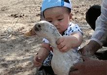 怀孕了还是想养猫猫狗狗怎么办?华西专家:可以养,但绝不能随便养!