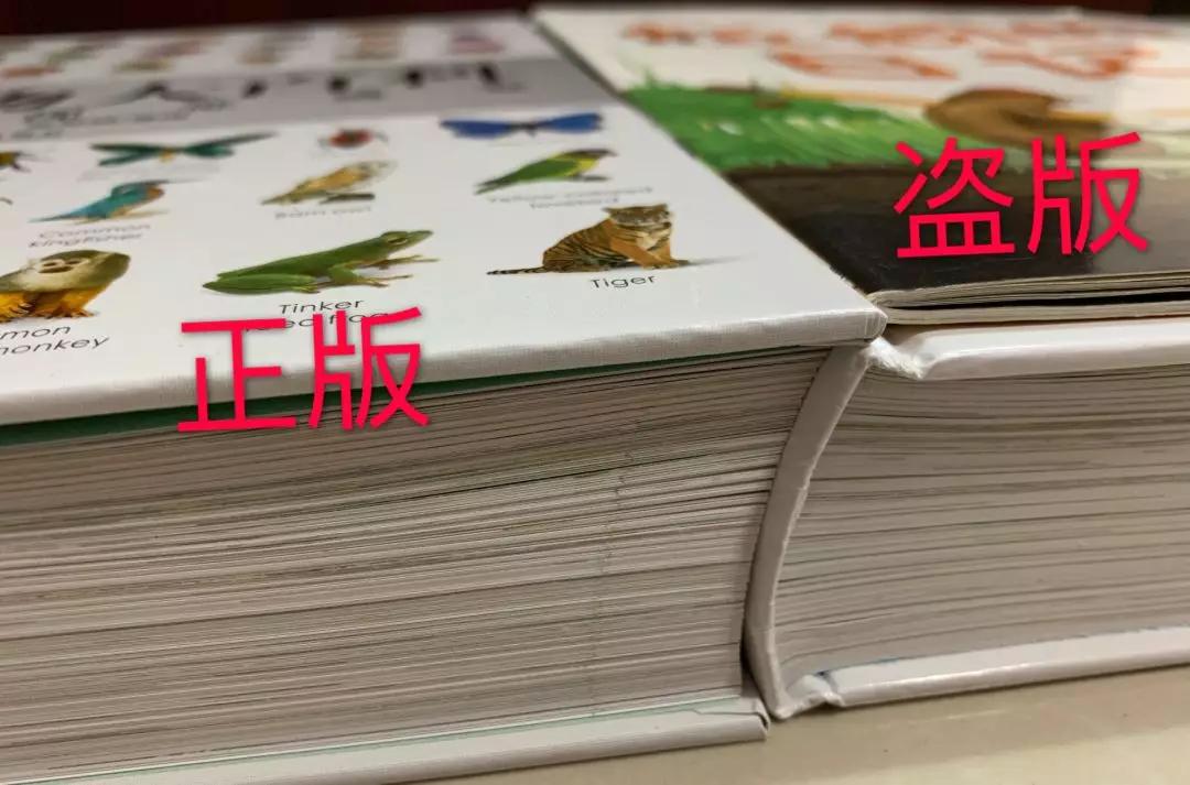 买到盗版书已经写东西了怎么办,买到盗版书了该怎么办