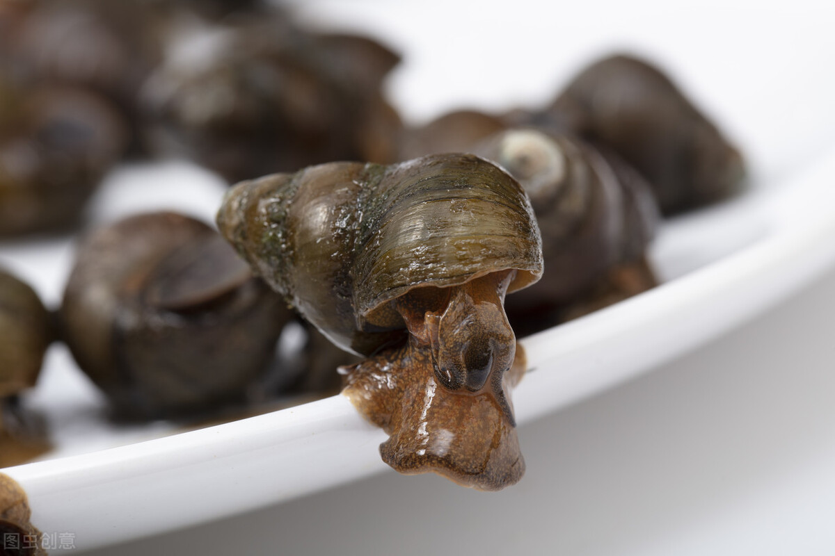 洗田螺需要放什么洗得干净,清洗田螺用醋吗