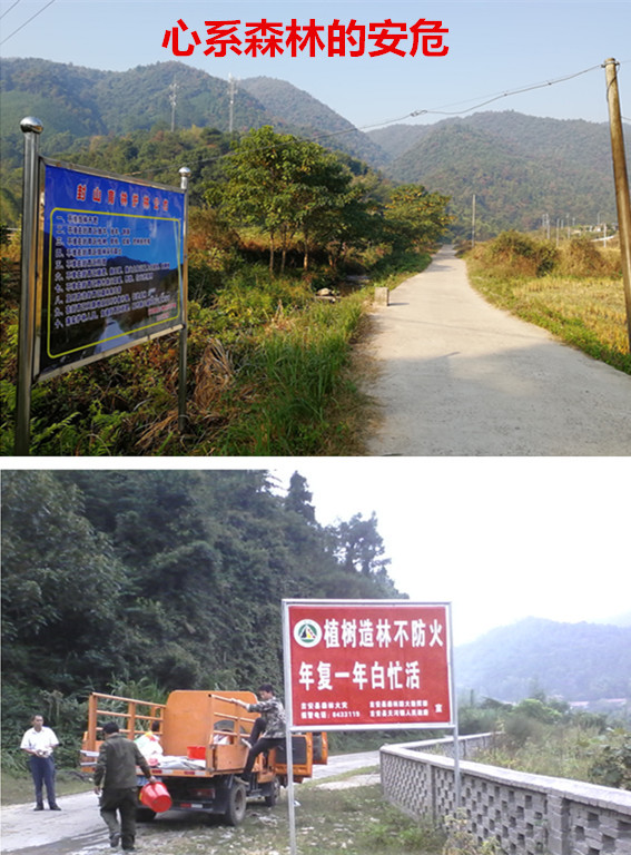 林业礼赞——世界最后一滴水将是人类的眼泪吗