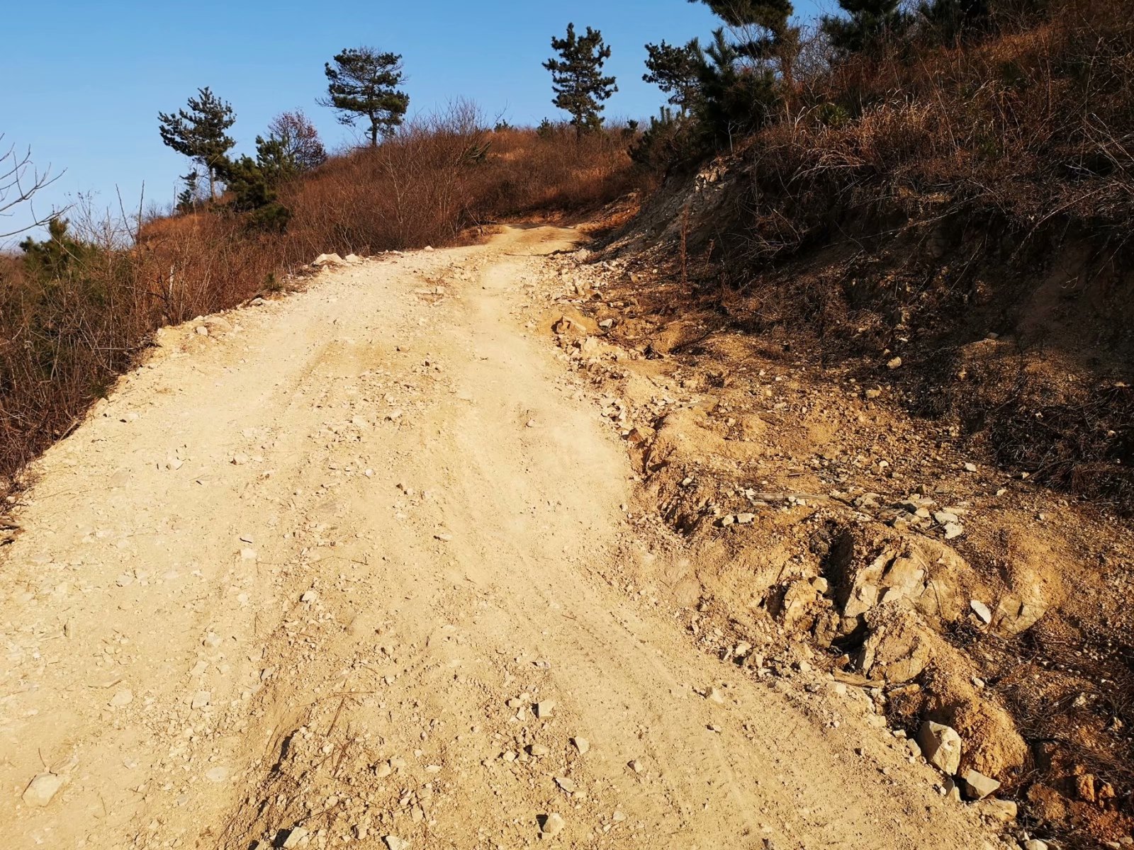 摩托周边旮旯游——探访蚌埠李楼鲁山寺遗址（上）