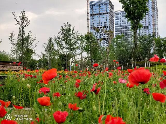 nex3s国产屏,全面屏手机nex3