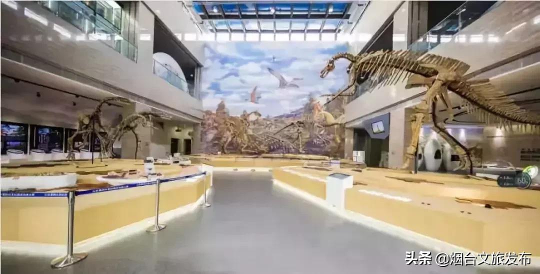 閬囪閱夌編閲戠,閬囪閱夌編閲戠鏂囨梾绯诲垪娲诲姩鍙戝竷