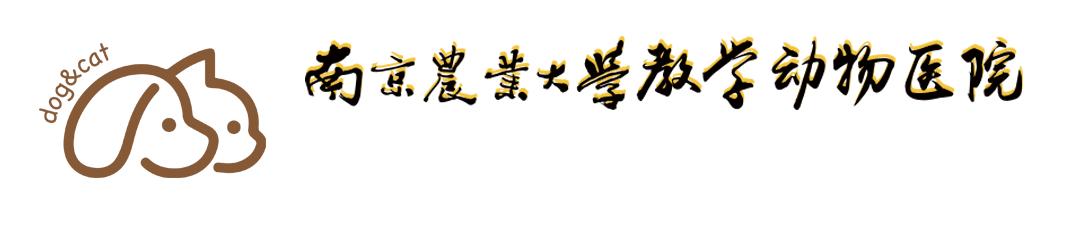 狗狗挑食只需一招,狗狗挑食不吃狗粮饿到极致