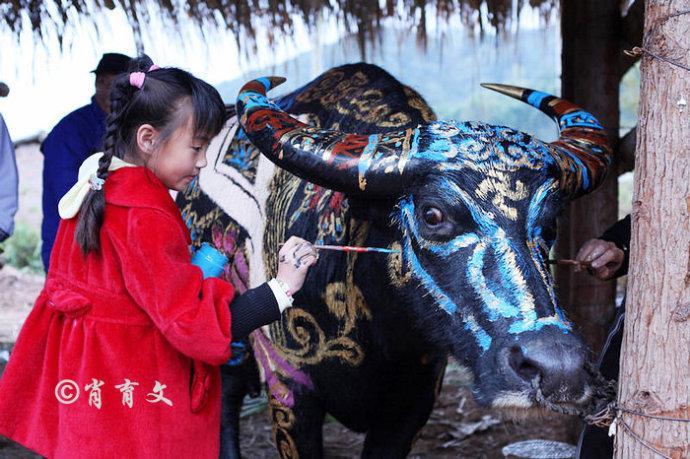 水牛身上画画,水牛身上画了牛郎织女画面