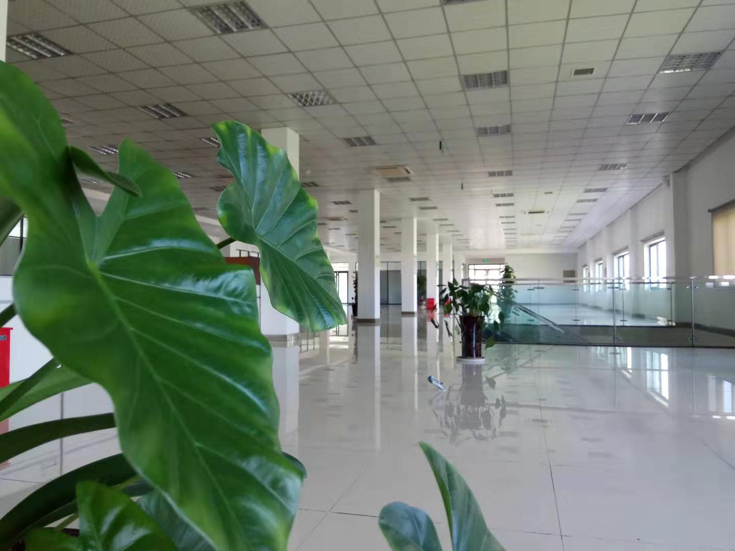 经开万达金街招商,经开万达商业多少万方