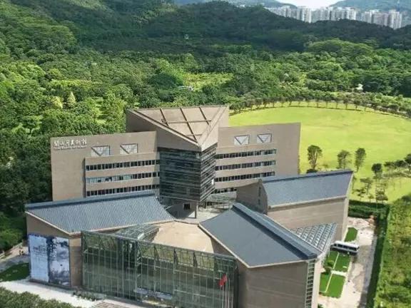 深圳适合小朋友好玩的地方推荐,深圳十个值得带孩子玩的地方