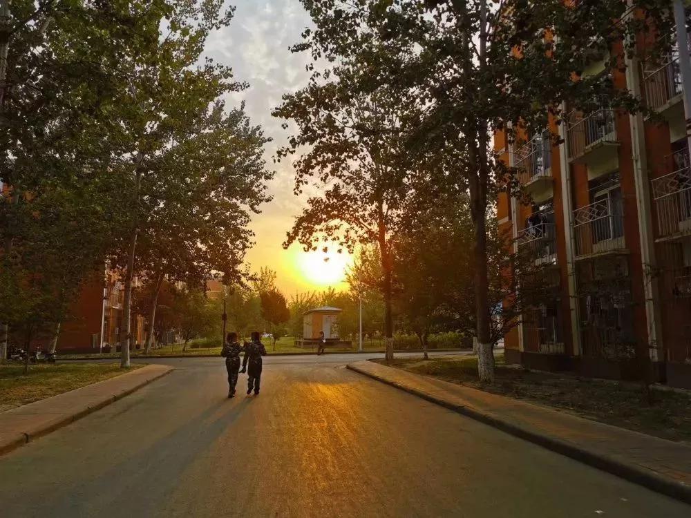 北京科技大学天津学院原独立学院,北京科技大学天津学院独立学院