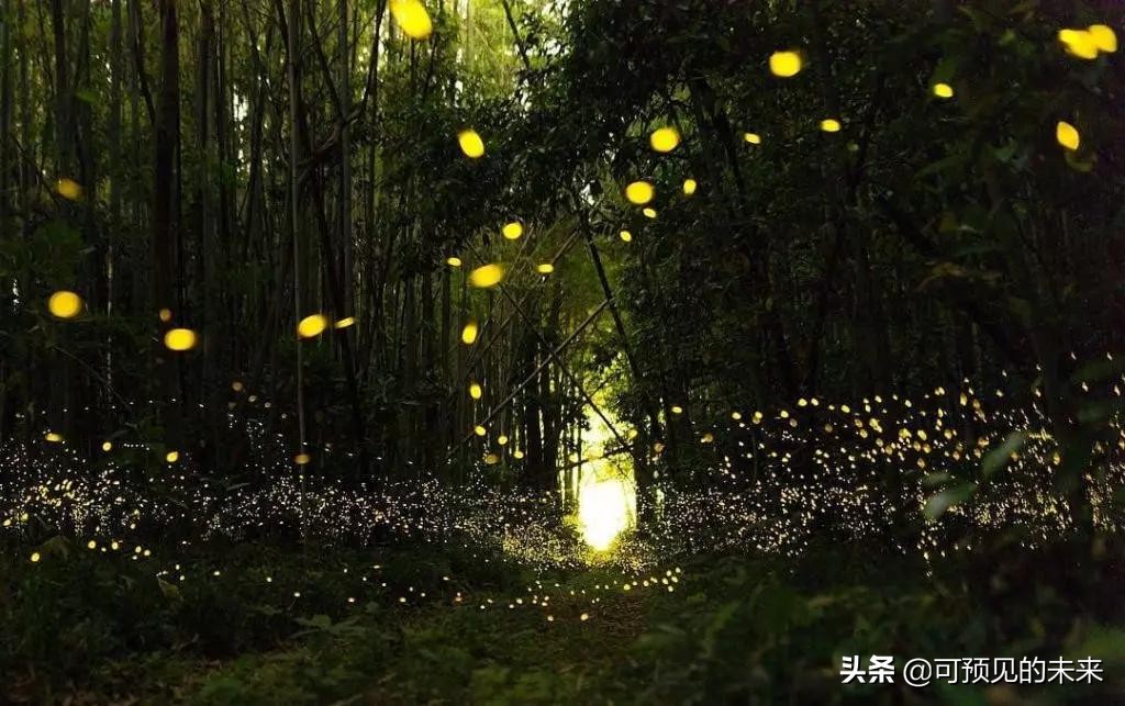 神奇的自然景观竖屏,神奇的自然景观