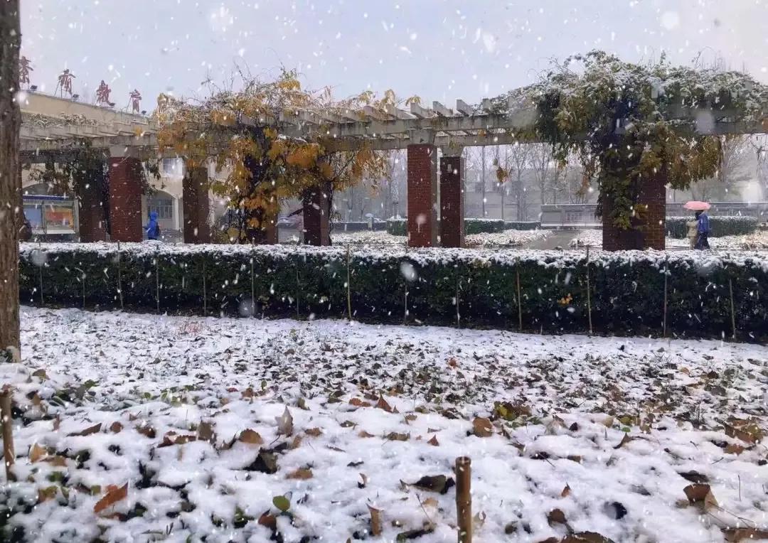 天津市独立院校（四）天津财经大学珠江学院