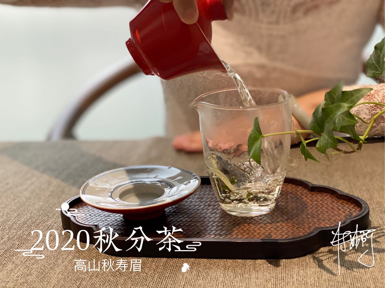 白毫银针白牡丹贡眉寿眉冲泡方法,白毫银针贡眉老白茶如何选