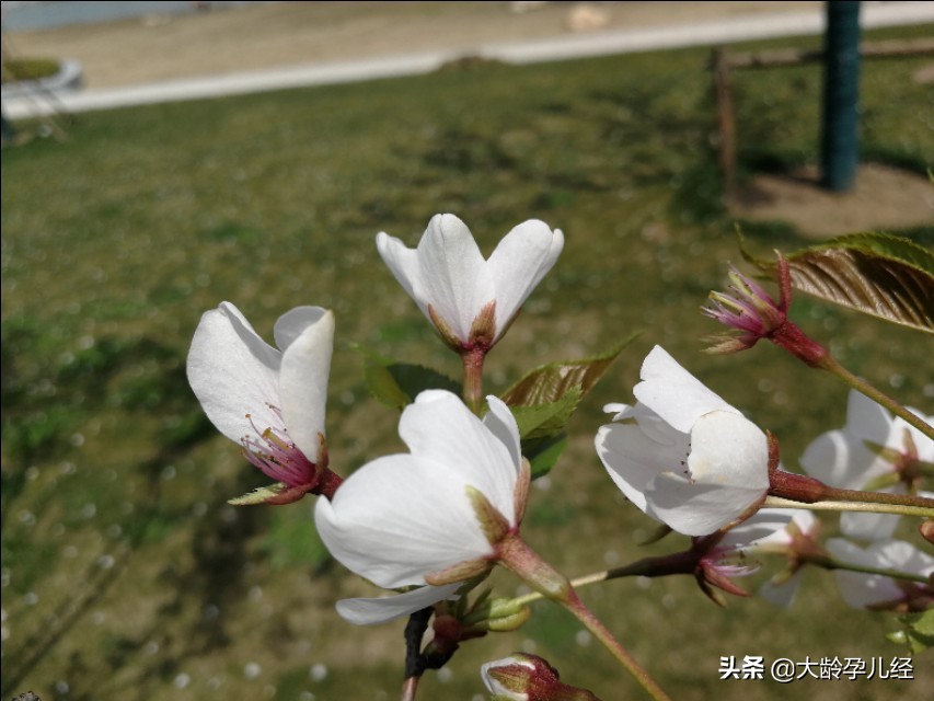 小儿湿疹严重有没有好办法,小儿湿疹需要注意什么