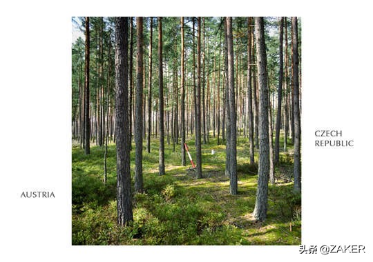 跨过国界线算偷渡吗,国界线能偷渡吗