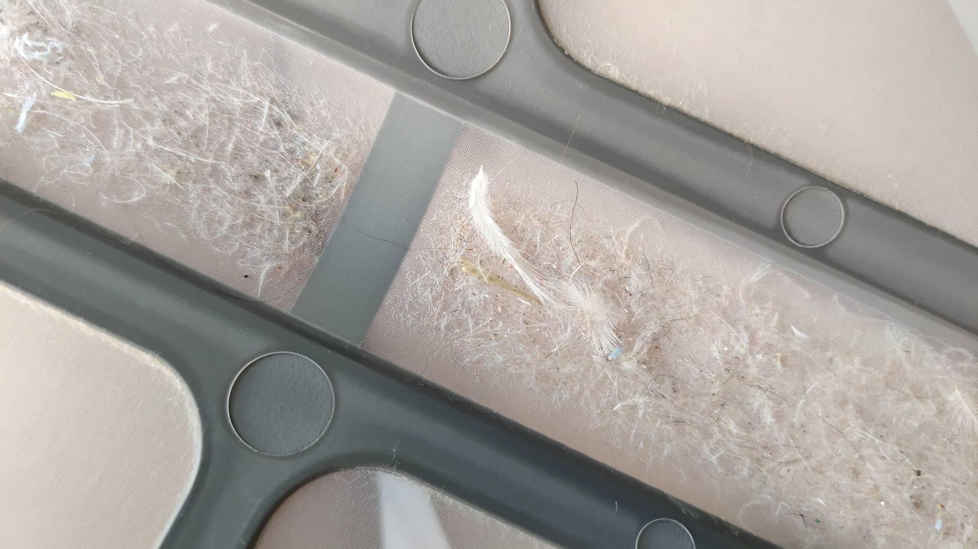 传说中的洗烘套装有那么好吗?春夏秋冬衣物都试过后,有了答案