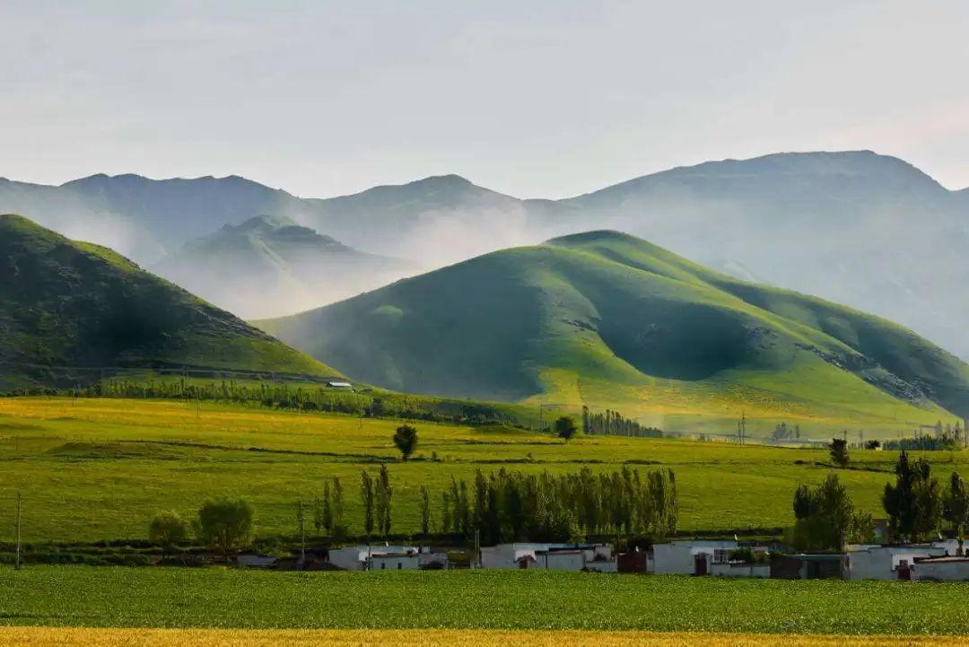 5元一斤买西梅,再送一颗果树,还能免费旅游!有这么好的事?