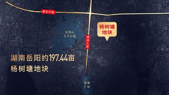 65亿打造岳阳新地标:中国文旅地产十强祥源深耕湖南