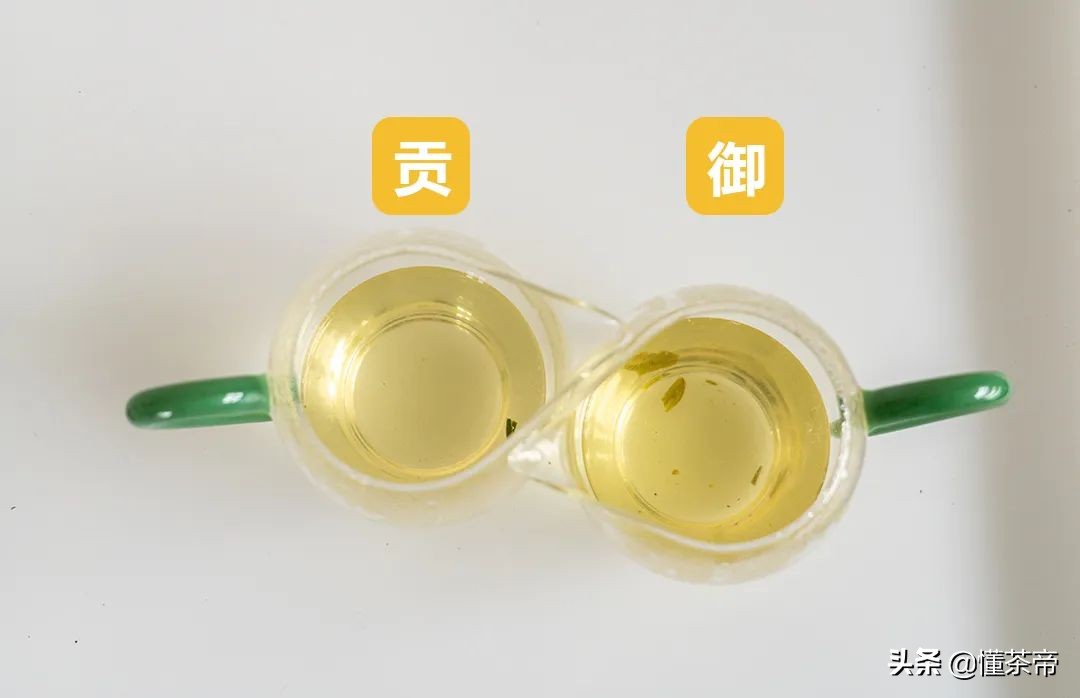 龙井春茶测评,龙井测评排行