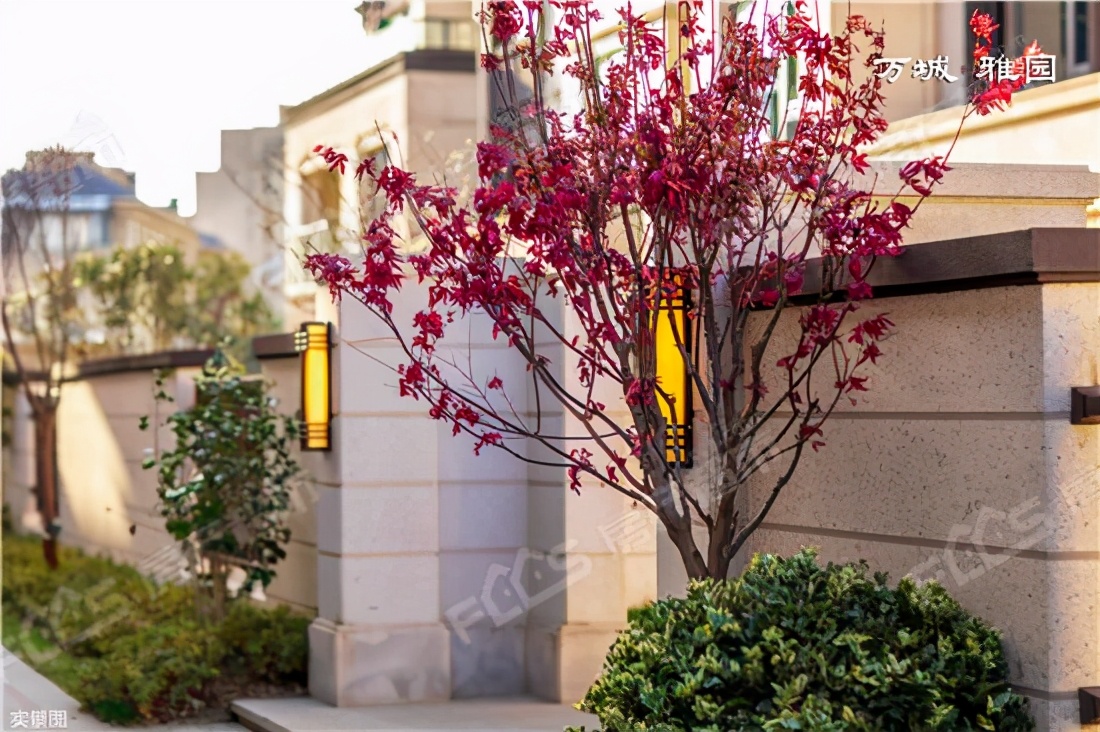 万城雅园排屋,万城雅园海宁