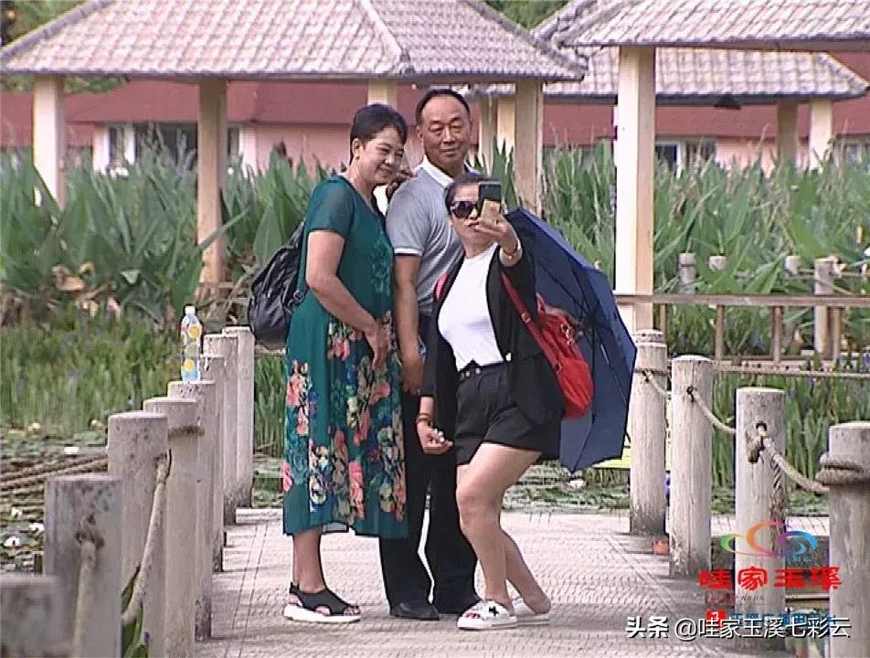 迷人!这里的“花中睡美人”盛开了