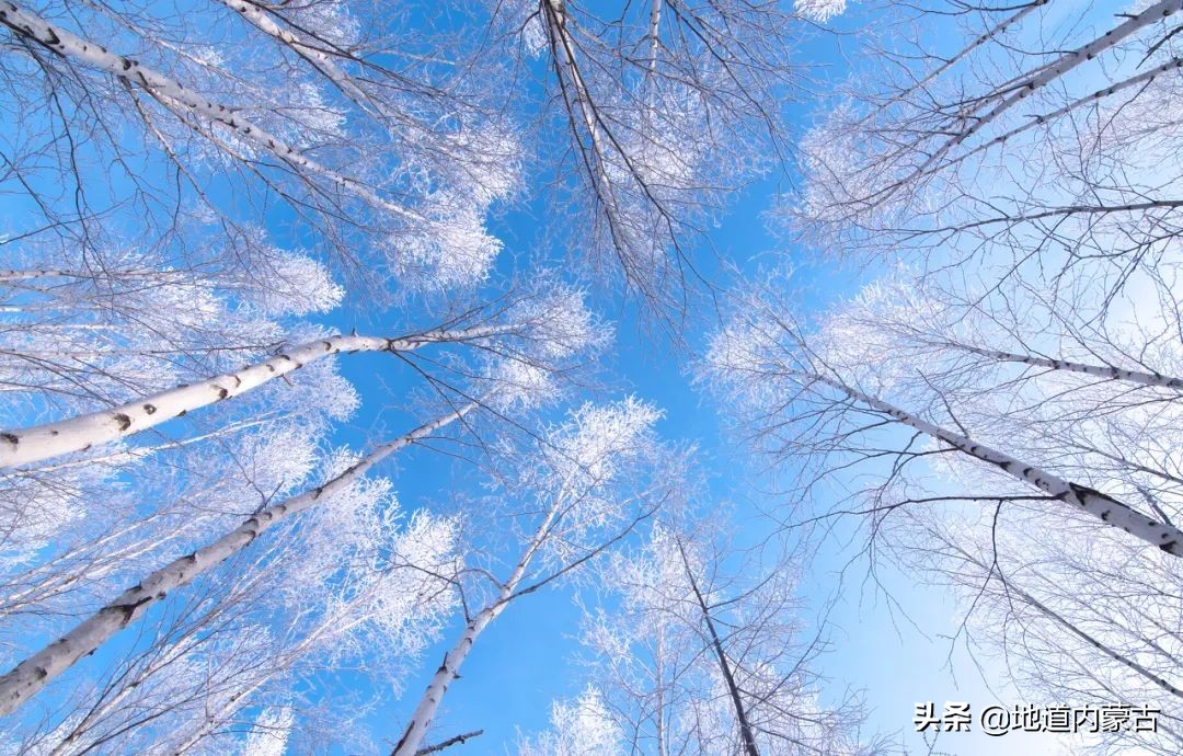 60岁之前要去的十大地方,一生中必去的中国50个最美的地方