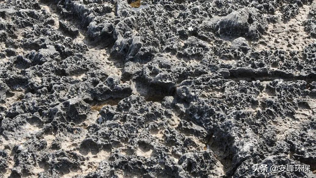 活性污泥膨胀的原因及控制措施,污泥膨胀的原因及解决方法