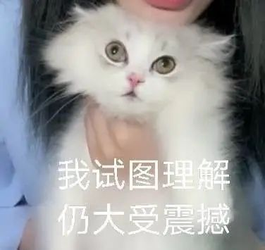 喝完3杯茶颜悦色，我还没排上这家长沙“新网红”