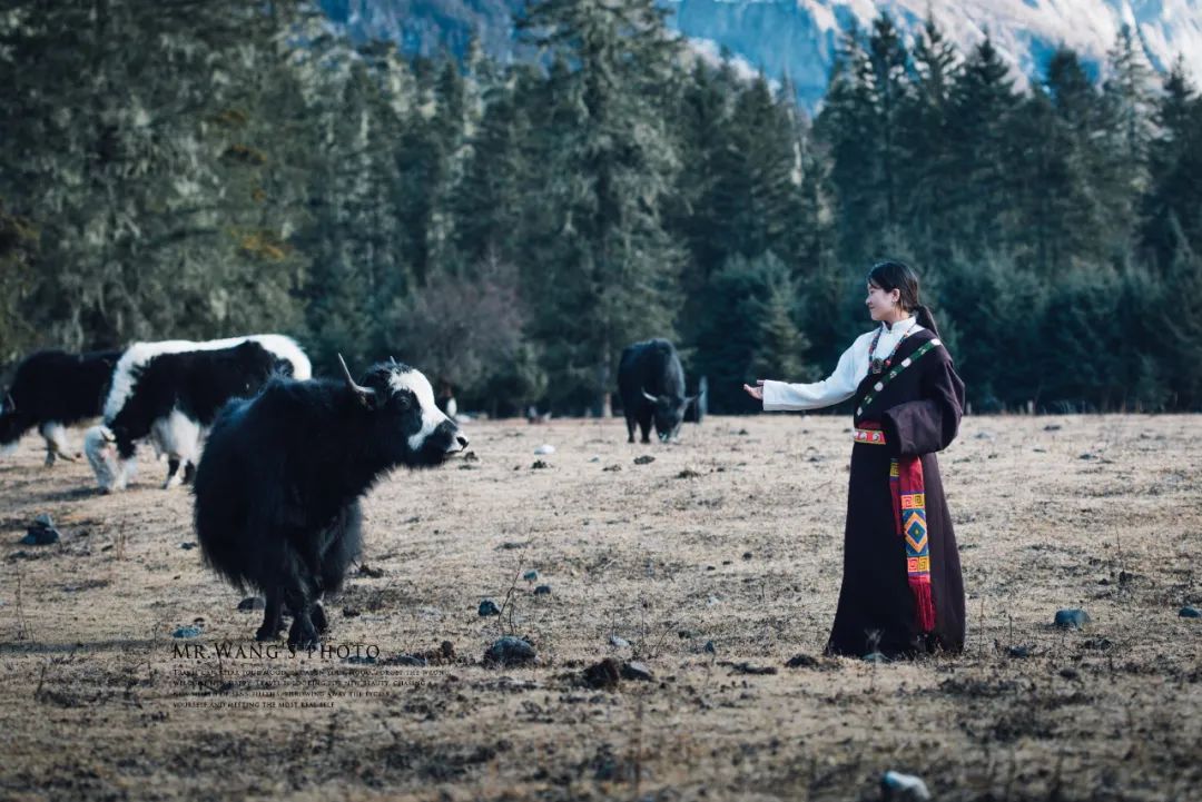 《有翡》取景地曝光！这个海拔3700，现场配救护车的地方要火