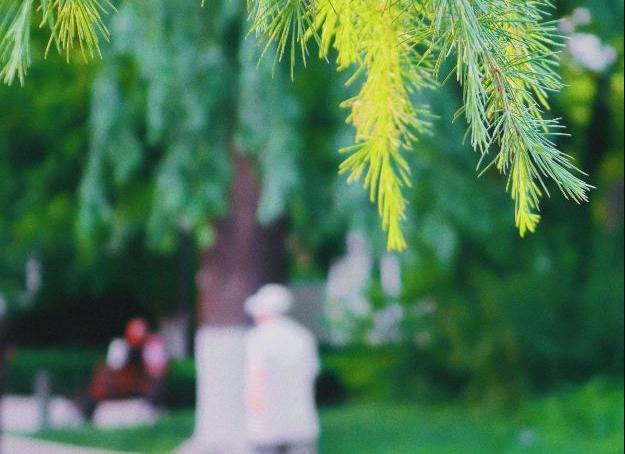 天津莫奈花园油画沙龙,带你去莫奈的画里花园