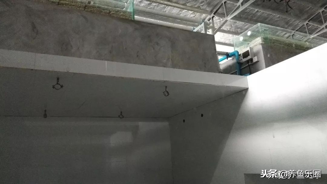 这位土豪家的渔场，光滤材就花了500多万，你确定不要见识一下？