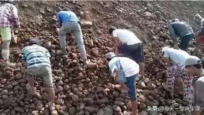 缅甸翡翠矿收料价格,缅甸翡翠矿现在怎么样