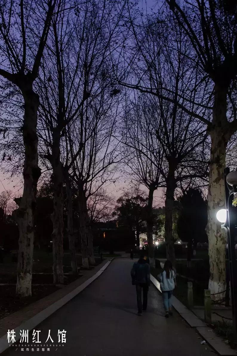 株洲神农公园老照片,株洲市神农公园