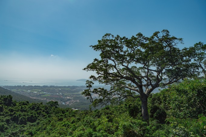 最美的愿望一定最疯狂~三亚